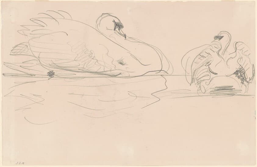 Swans in the Water — John Singer Sargent