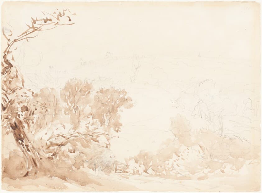 Hillside and Trees — David Cox