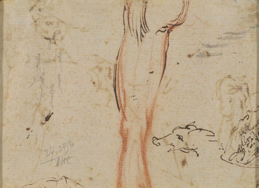 A Leg and a Pig's Head — Jacques Callot