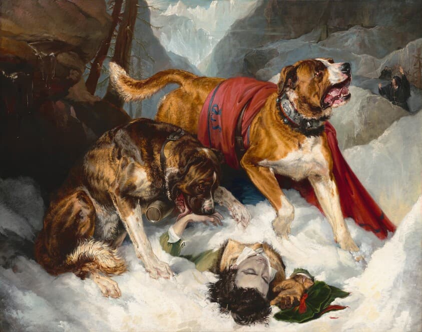 Alpine Mastiffs Reanimating a Distressed Traveler — Sir Edwin Landseer