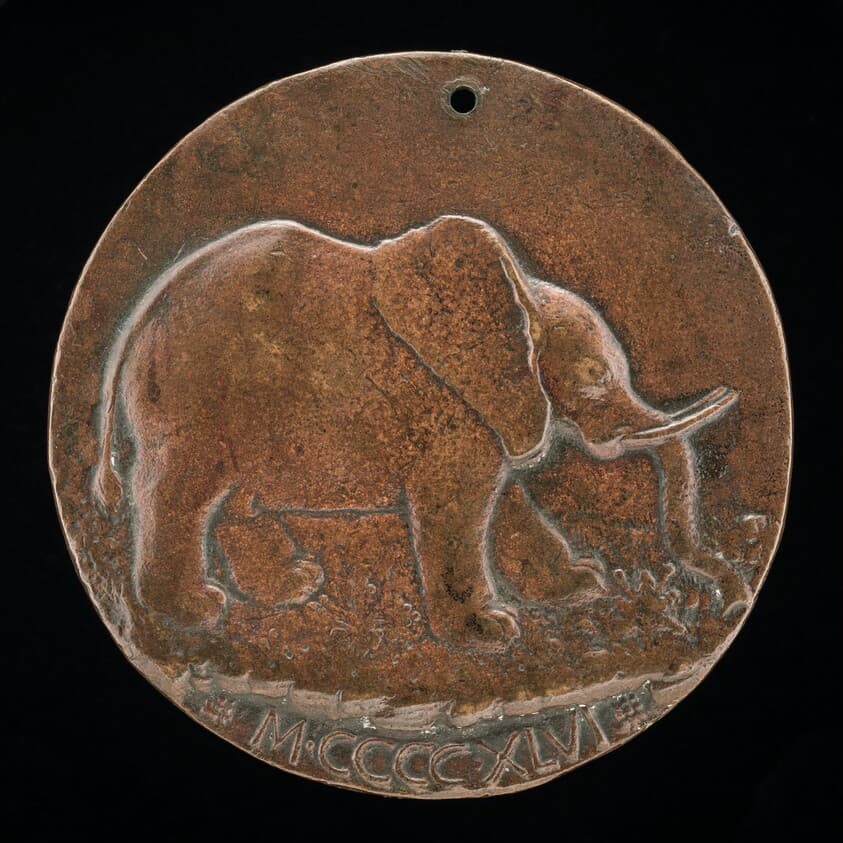 The Malatesta Elephant in a Meadow [reverse] — Matteo de' Pasti
