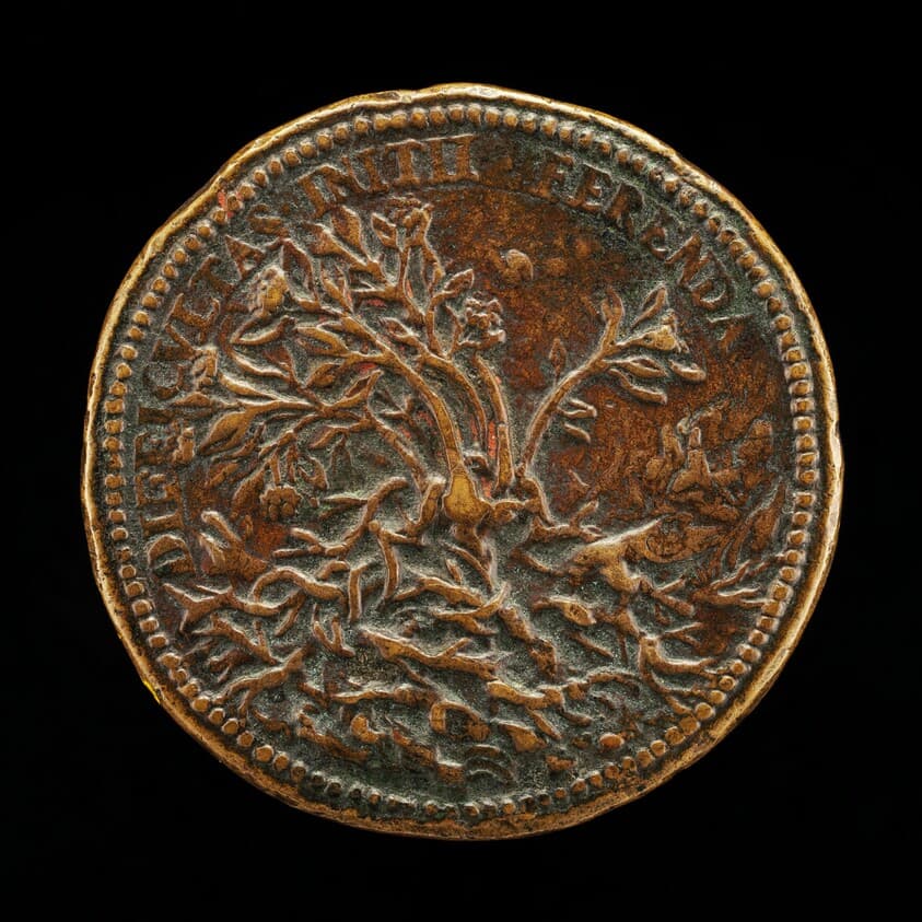 Flowering Shrub Growing through Thorns [reverse] — Pier Paolo Galeotti