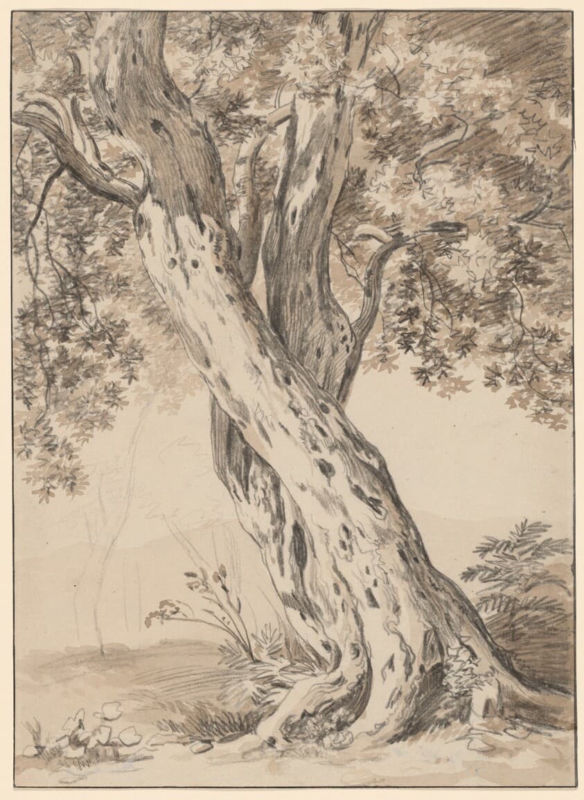 Two Intertwined Oak Trees — Johann Christian Reinhart