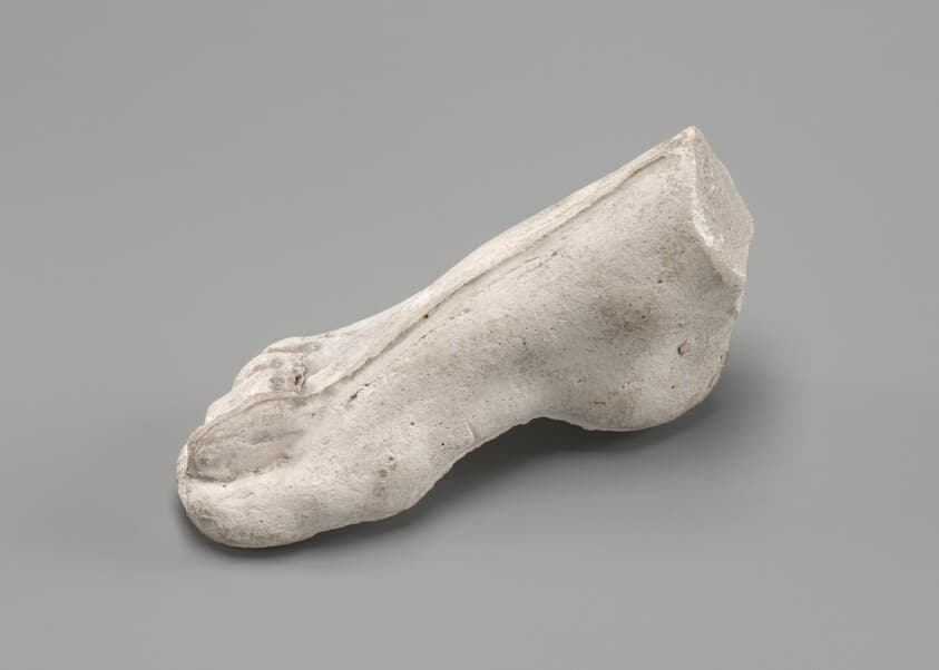 Right Foot — Auguste Rodin