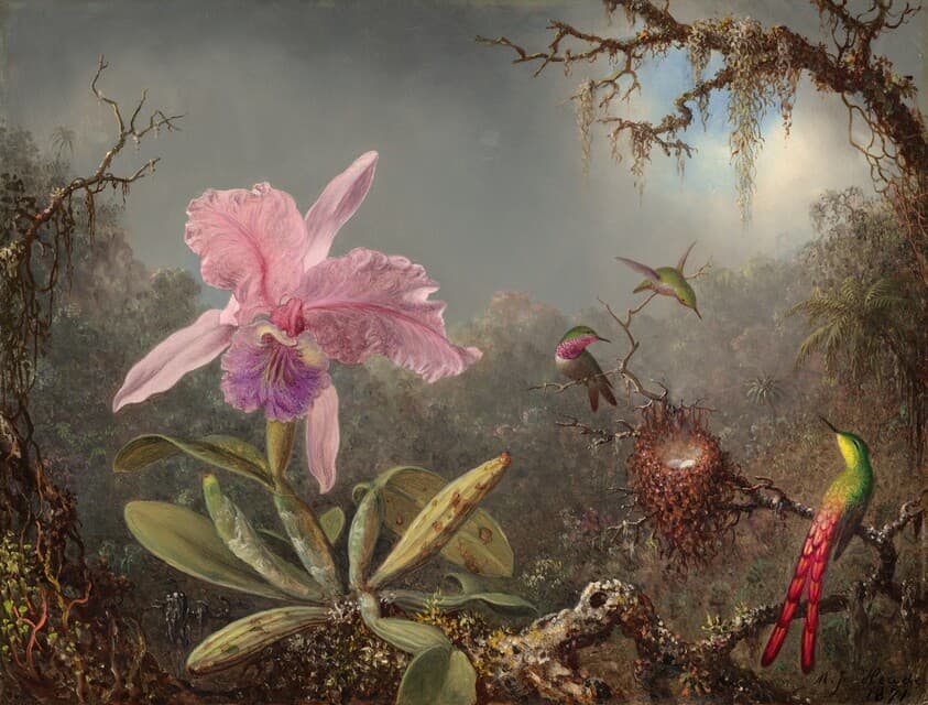 Cattleya Orchid and Three Hummingbirds — Martin Johnson Heade