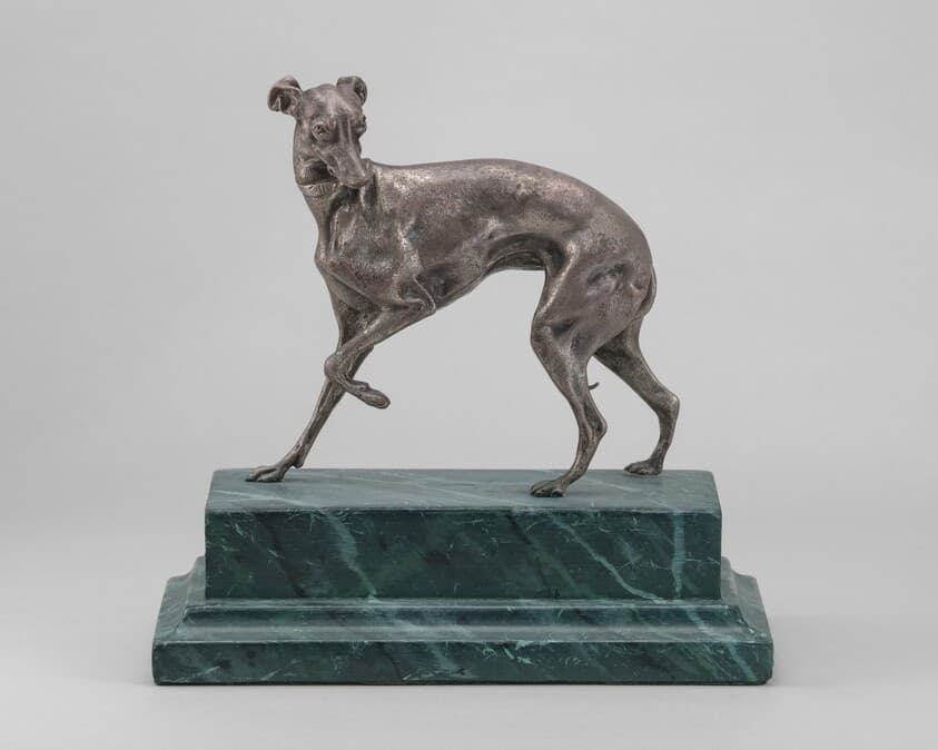 Whippet — Pierre-Jules Mêne