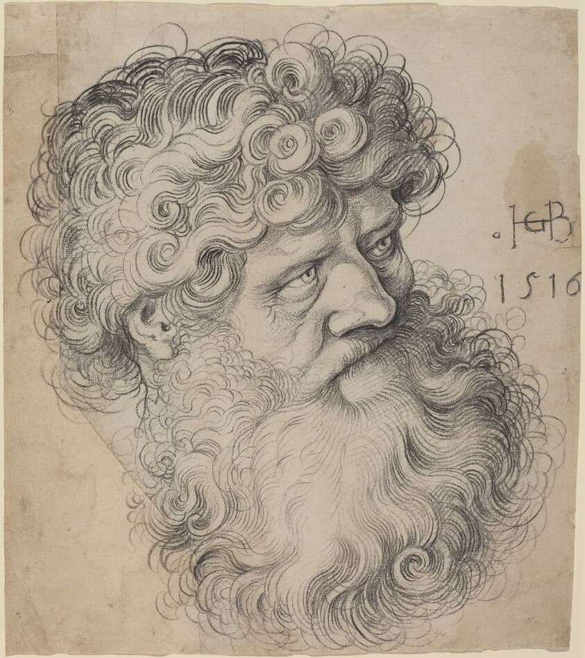 Head of Saint John the Baptist — Hans Baldung Grien