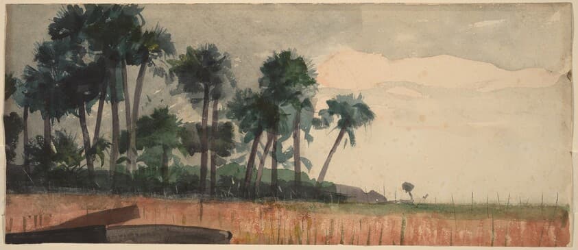 Palm Trees, Red — Winslow Homer