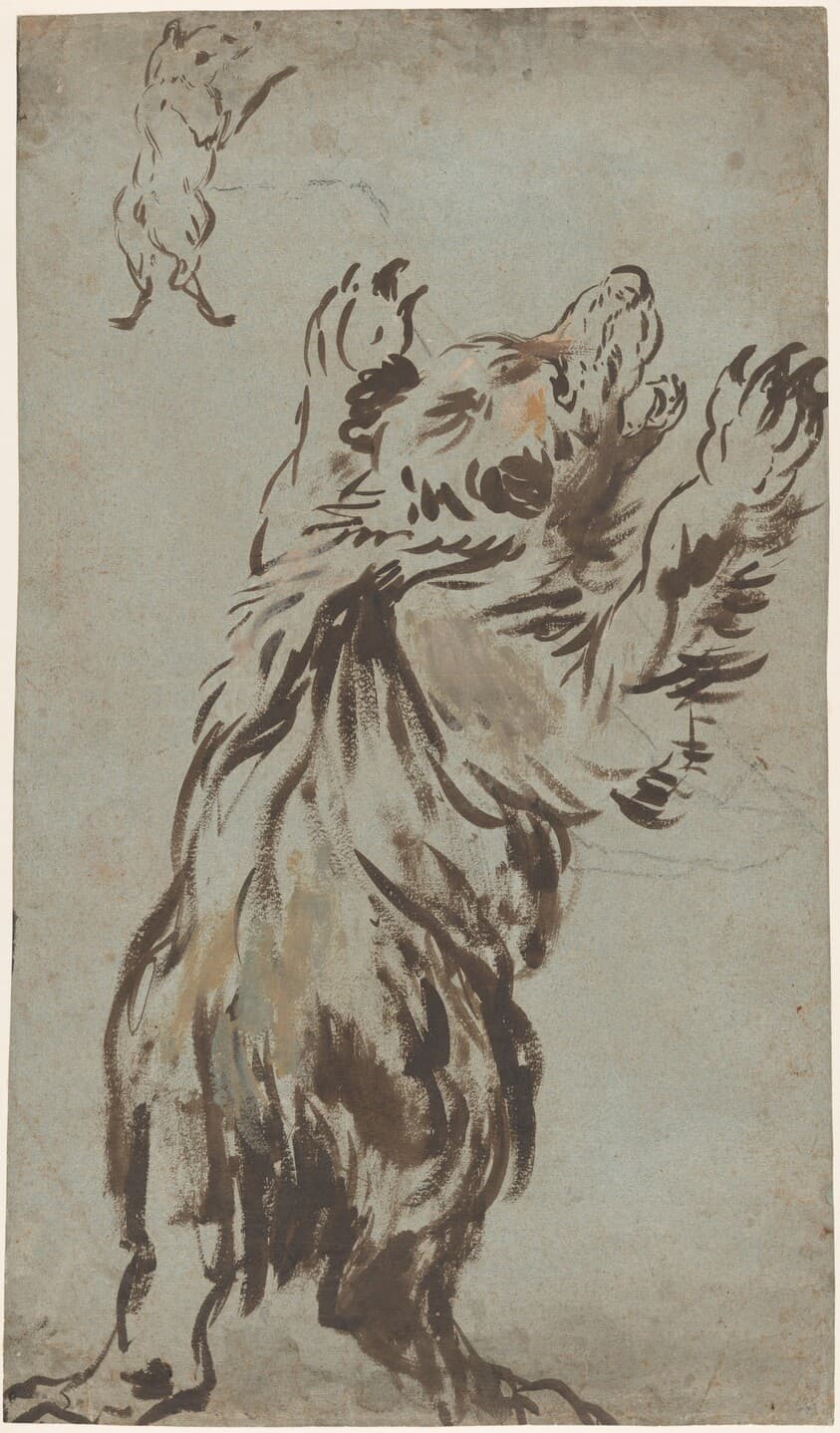Studies of a Bear — Leonard Bramer