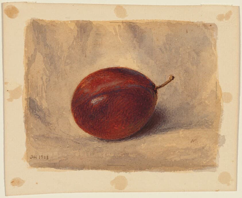 Plum — John Henry Hill