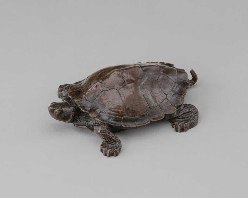 Tortoise — Antoine-Louis Barye