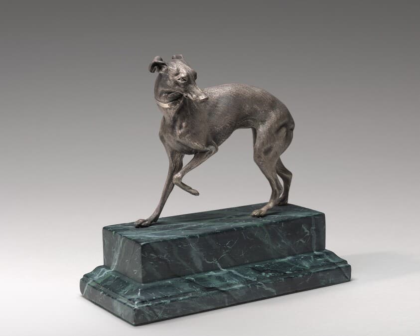 Whippet — Pierre-Jules Mêne