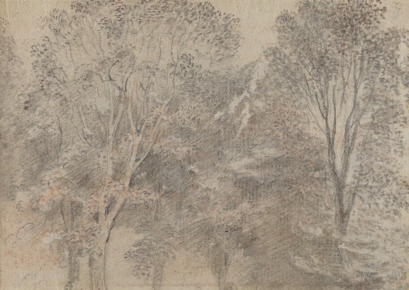 Treetops [verso] — Antoine Watteau