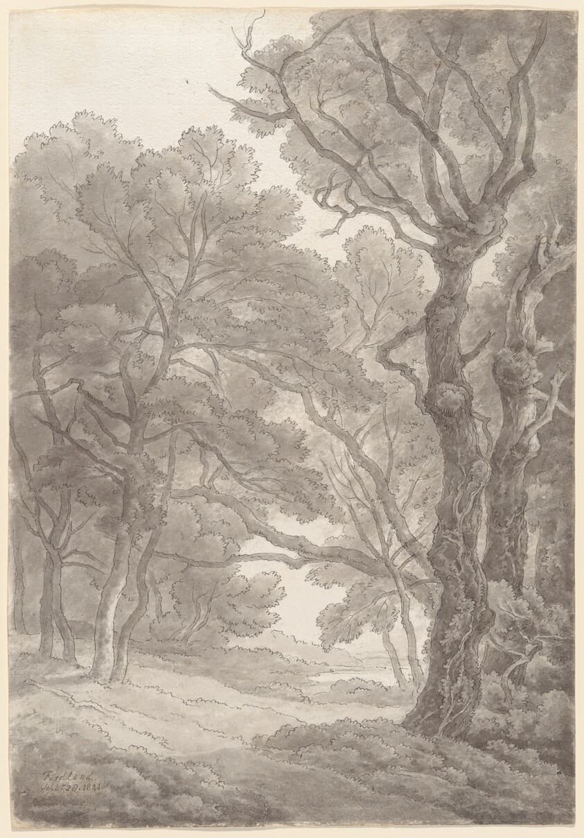 Trees at Fordland, Devon — John White Abbott