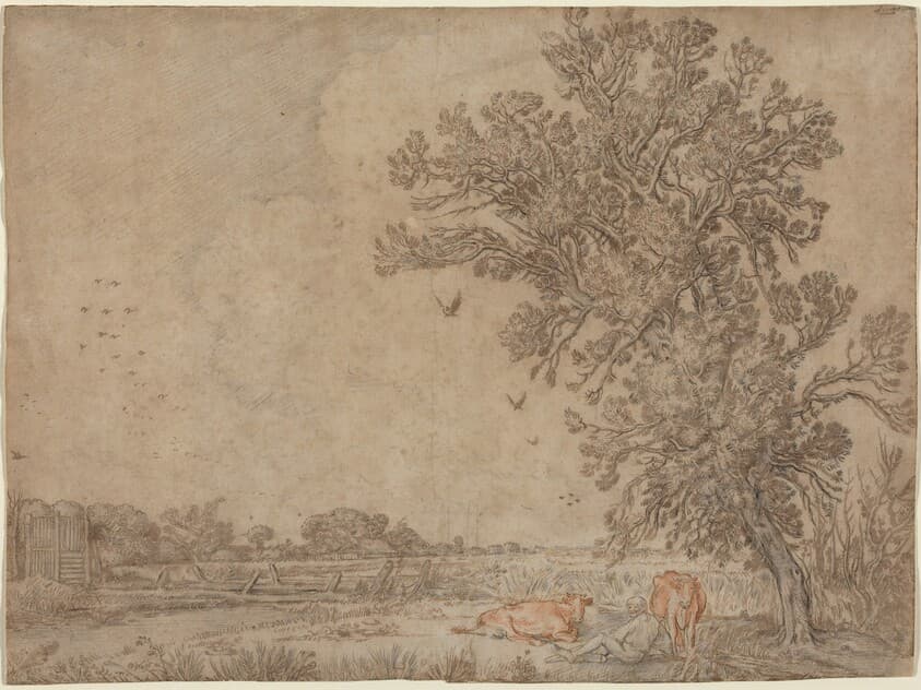 Meadow with a Shepherd and Cows — Willem Buytewech