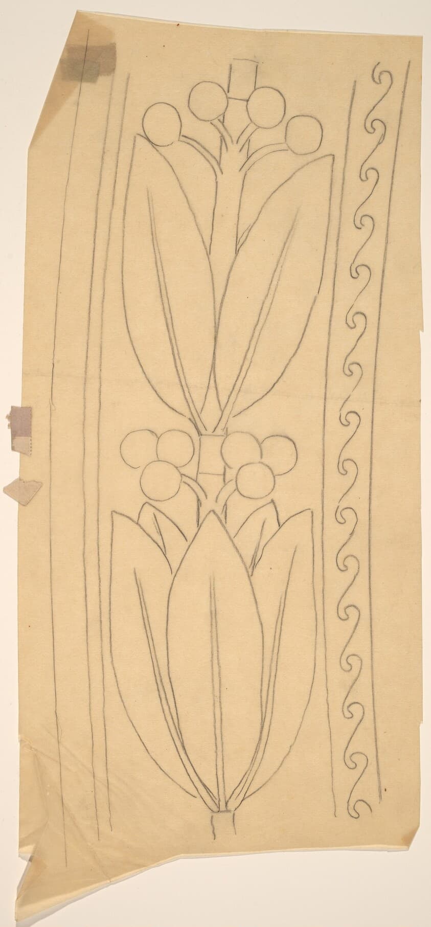 Tracing of a Border Design — Charles Sprague Pearce