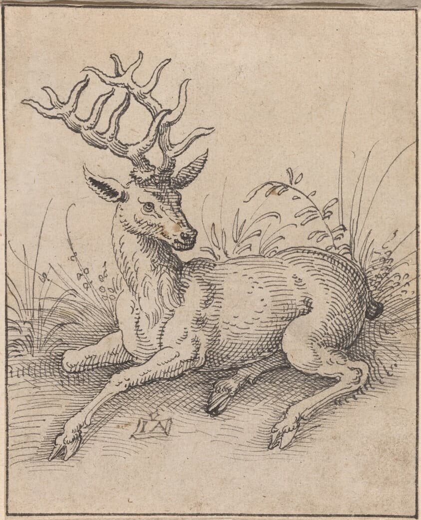 The Stag — Jost Amman