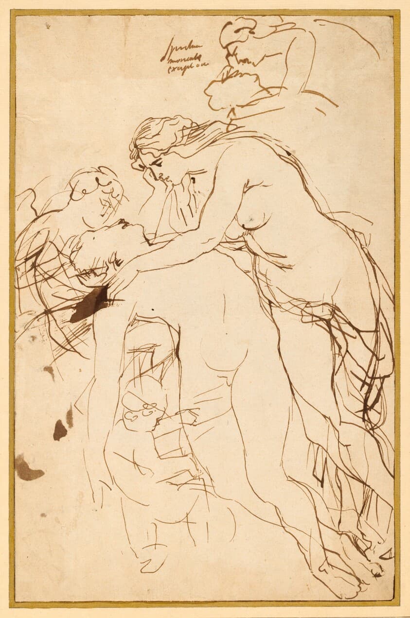 Venus Lamenting Adonis — Sir Peter Paul Rubens
