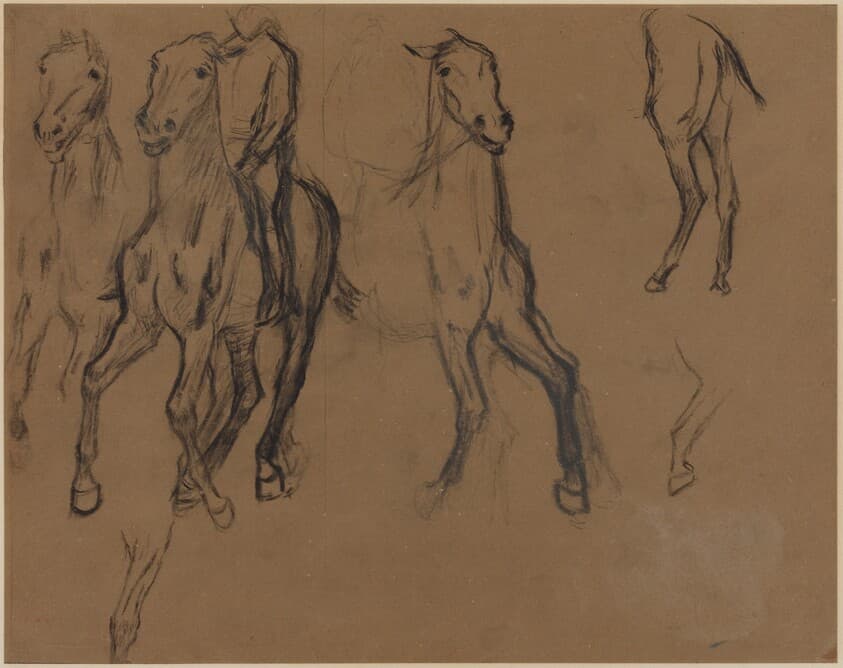 Study of Horses — Edgar Degas