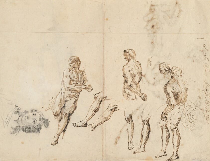 Head of a Woman and Studies of a Male Nude [verso] — Francesco Fontebasso