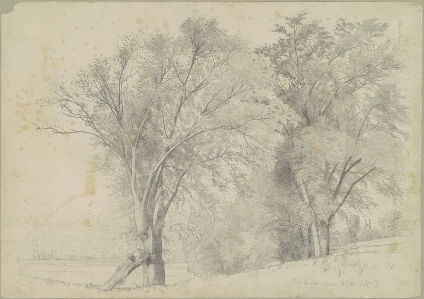 Elms, Hudson — Andrew Fisher Bunner