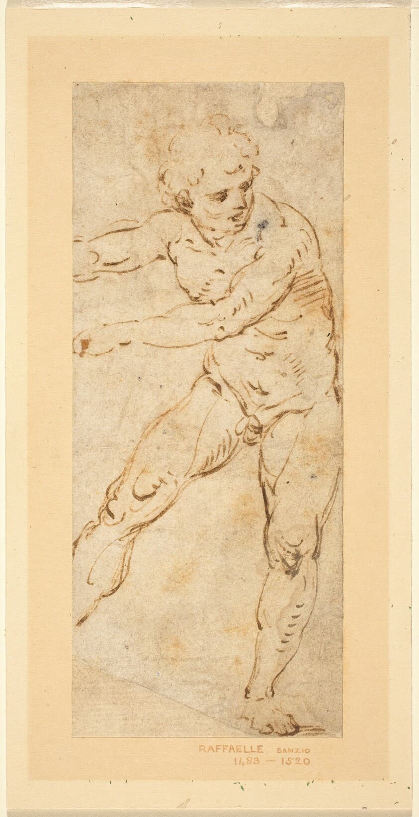 A Standing Male Nude — Circle of Raphael