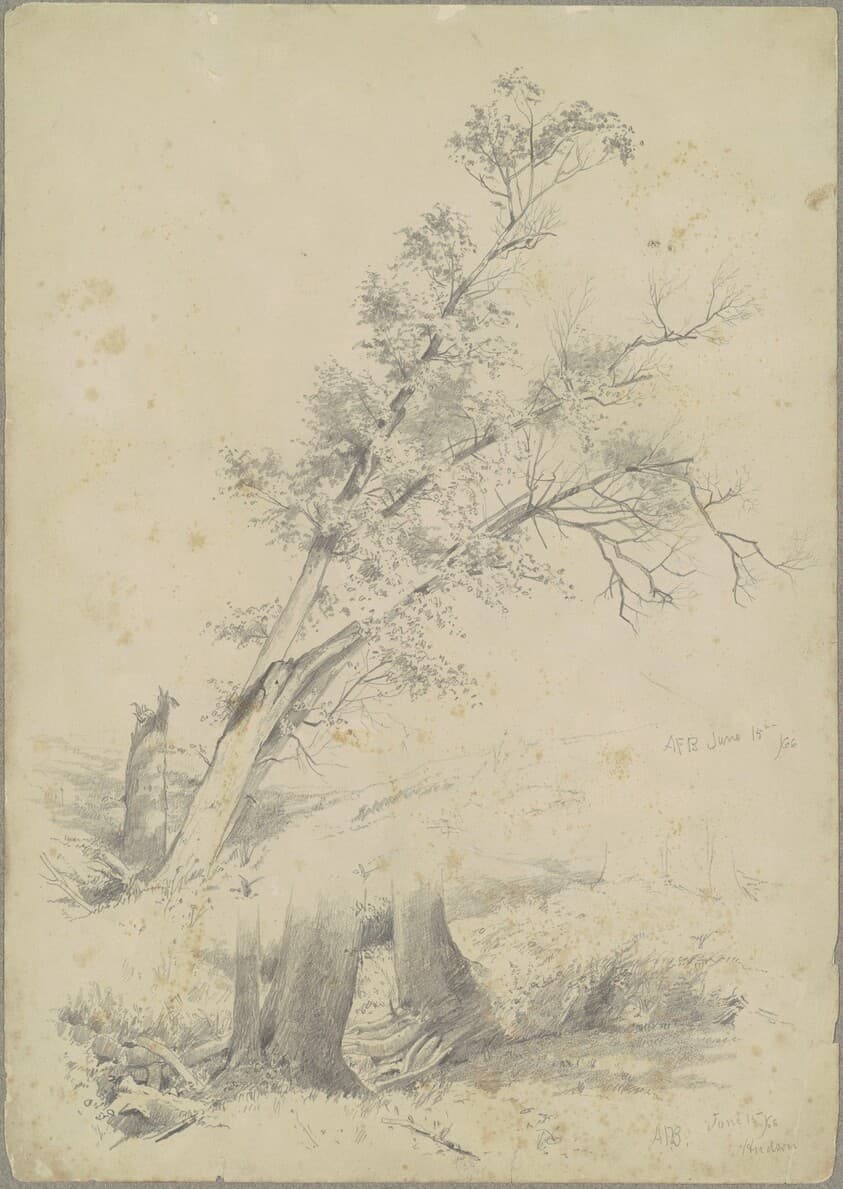 Trees, Hudson — Andrew Fisher Bunner