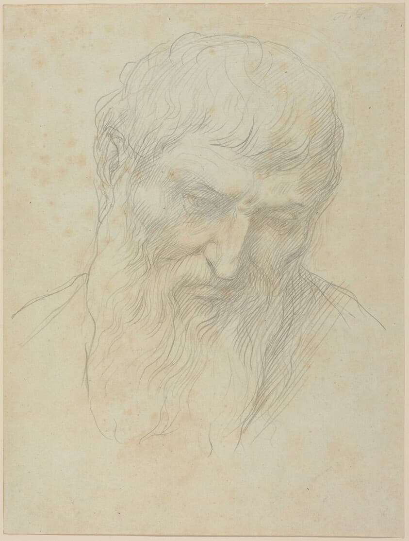 Head of a Man with Curly Hair and Beard — Alphonse Legros