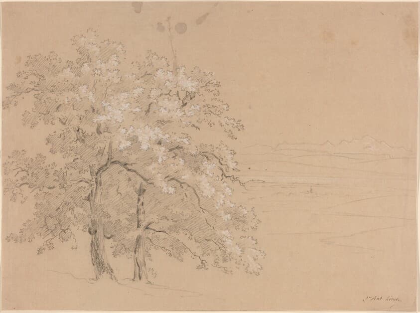 Sunlit Trees Before a Panoramic Landscape — Jean Antoine Linck