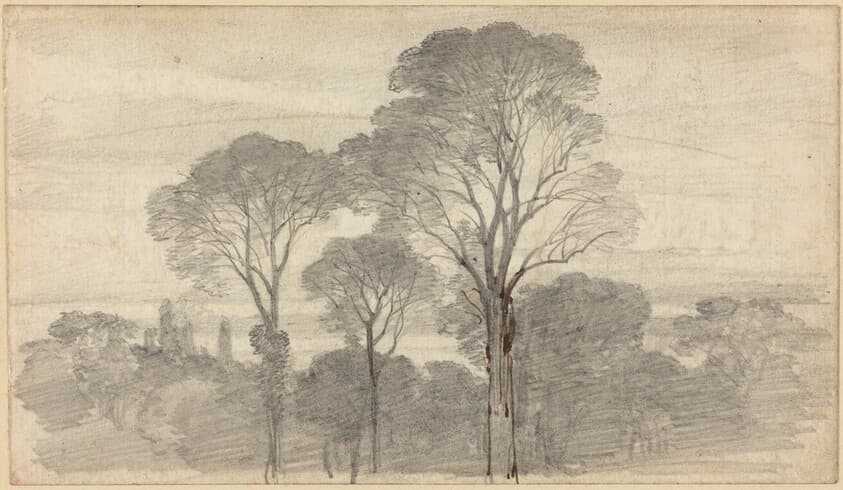 An Evening Landscape with Tall Trees — Myles Birket Foster