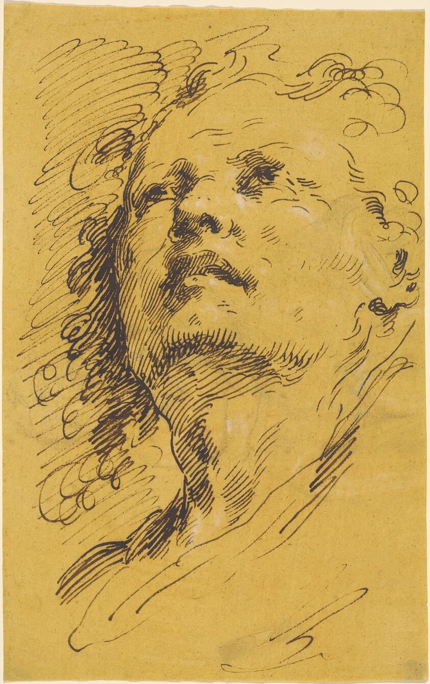 Head of a Man Looking Up — Pietro Antonio Novelli