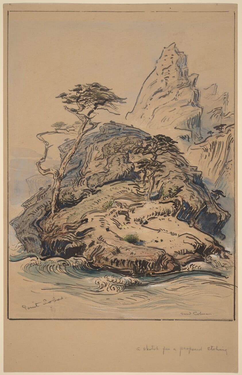 Point Lobos, California — Samuel Colman