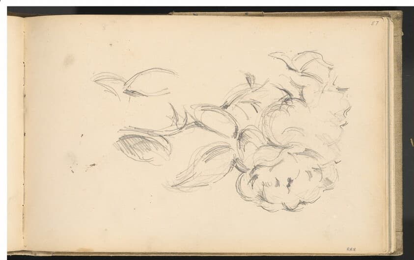 Peonies — Paul Cezanne