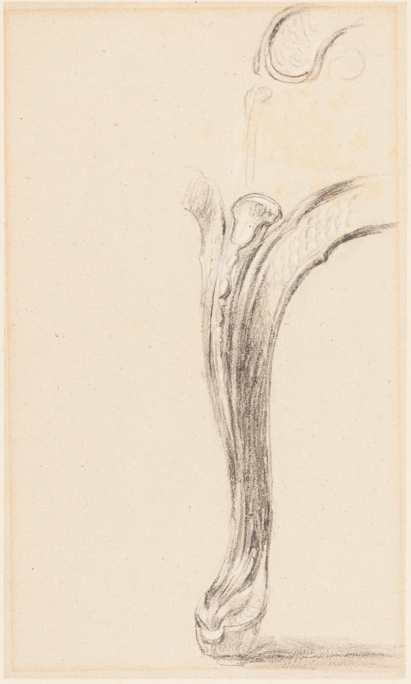 Study of a Chair Leg — Sir David Wilkie