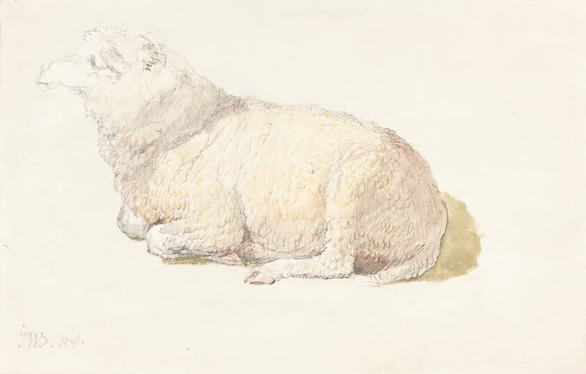 A Sheep Resting — James Ward