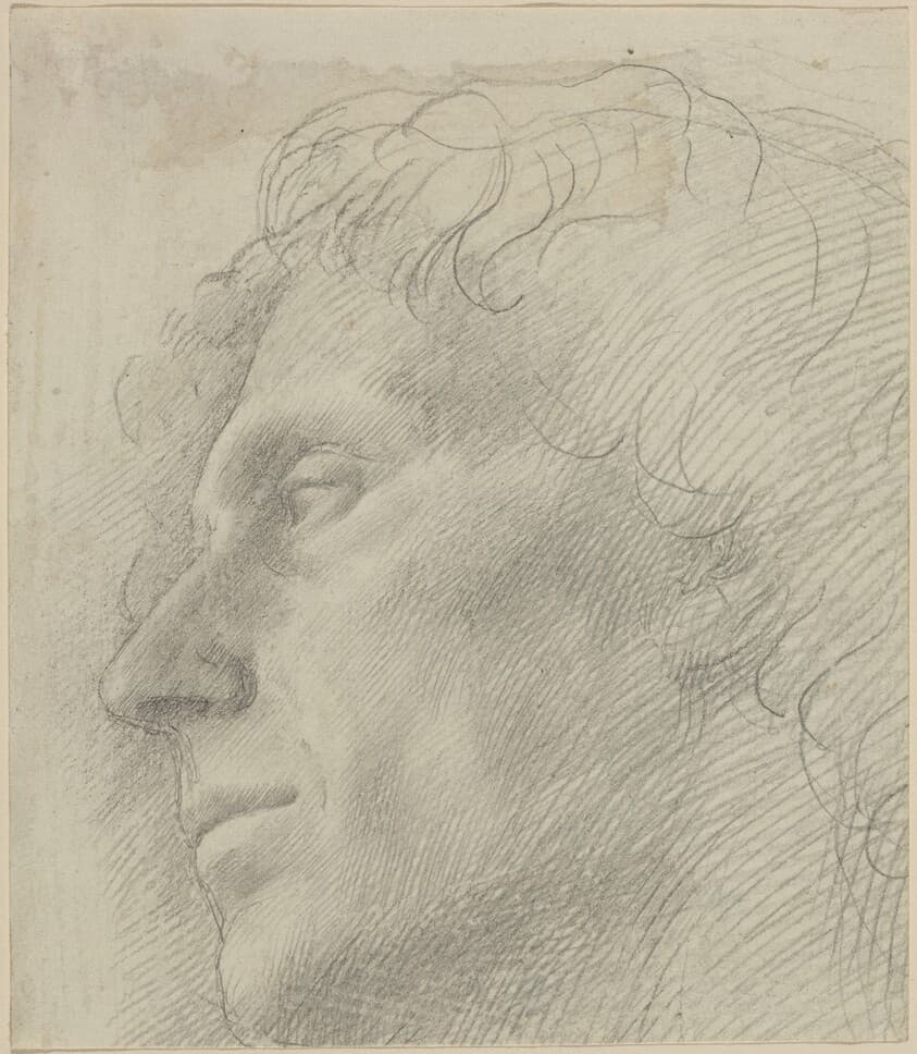 Head of a Man Facing Left — Alphonse Legros