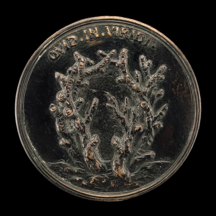 Leafless Branches [reverse] — Antonio Francesco Selvi