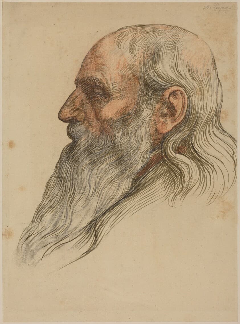 Study of a Man's Head with a Full Beard — Alphonse Legros