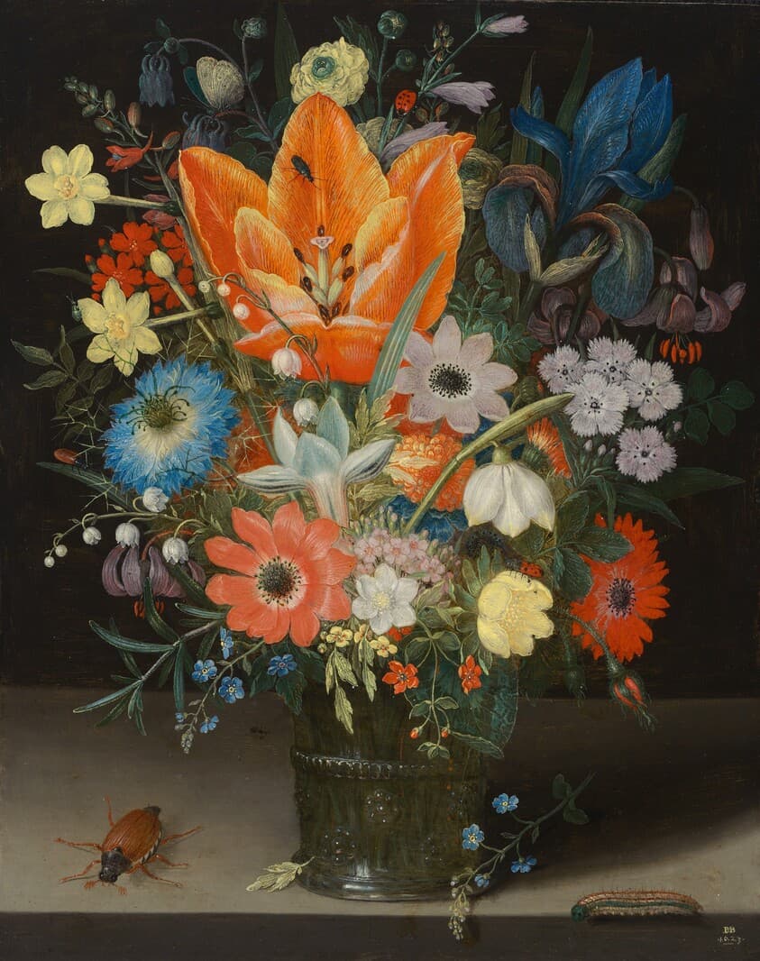 Still Life with Iris — Peter Binoit
