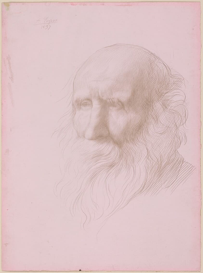 Head of an Old Man — Alphonse Legros