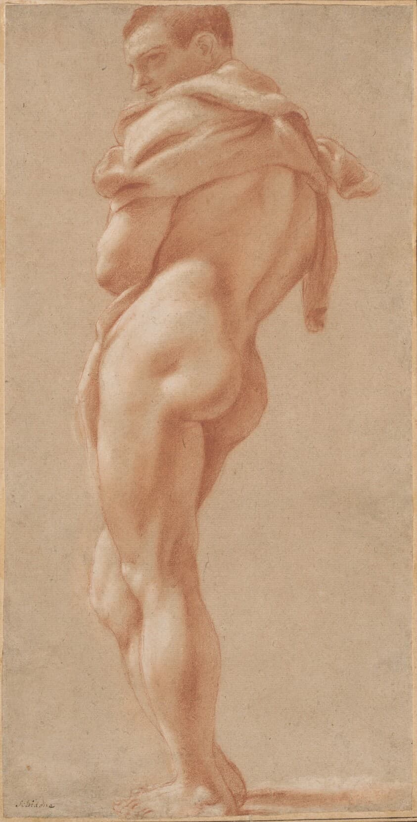 Standing Male Nude Seen from Behind — Pietro Faccini