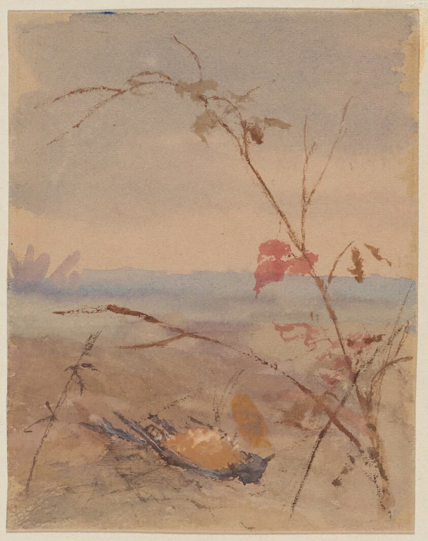 Dead Yellow-breasted Bird in Autumn Landscape — Fidelia Bridges