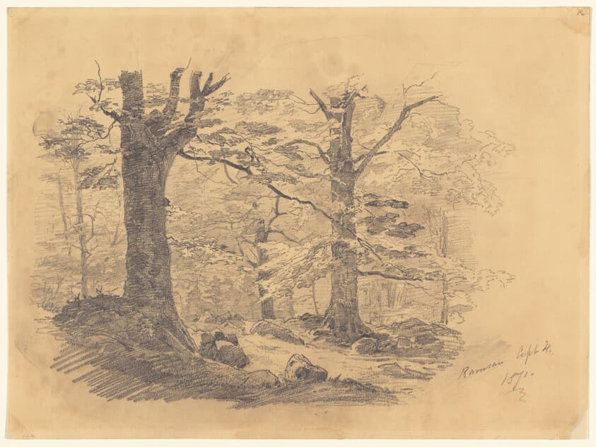 Forest, Ramsau, Germany — John Singer Sargent