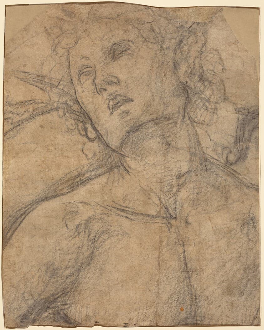 Bust of a Youth Looking Upward [recto] — Luca Signorelli