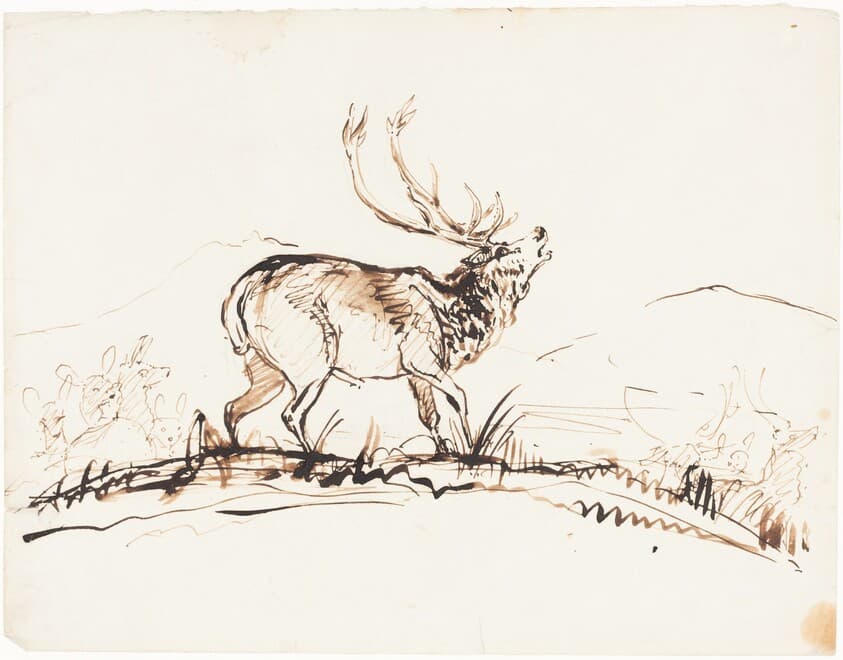A Bellowing Stag — Sir Edwin Landseer