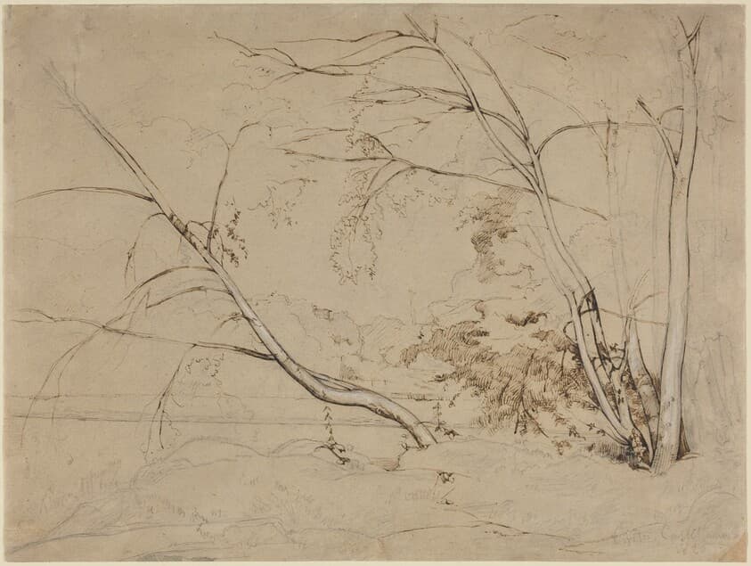 Clump of Trees at Civita Castellana — Jean-Baptiste-Camille Corot