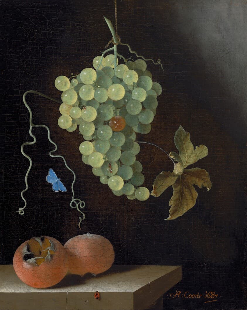 Still Life with a Hanging Bunch of Grapes, Two Medlars, and a Butterfly — Adriaen Coorte