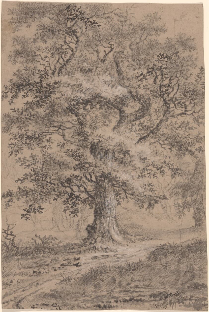A Leafy Oak by a Woodland Path — Johann Caspar Huber