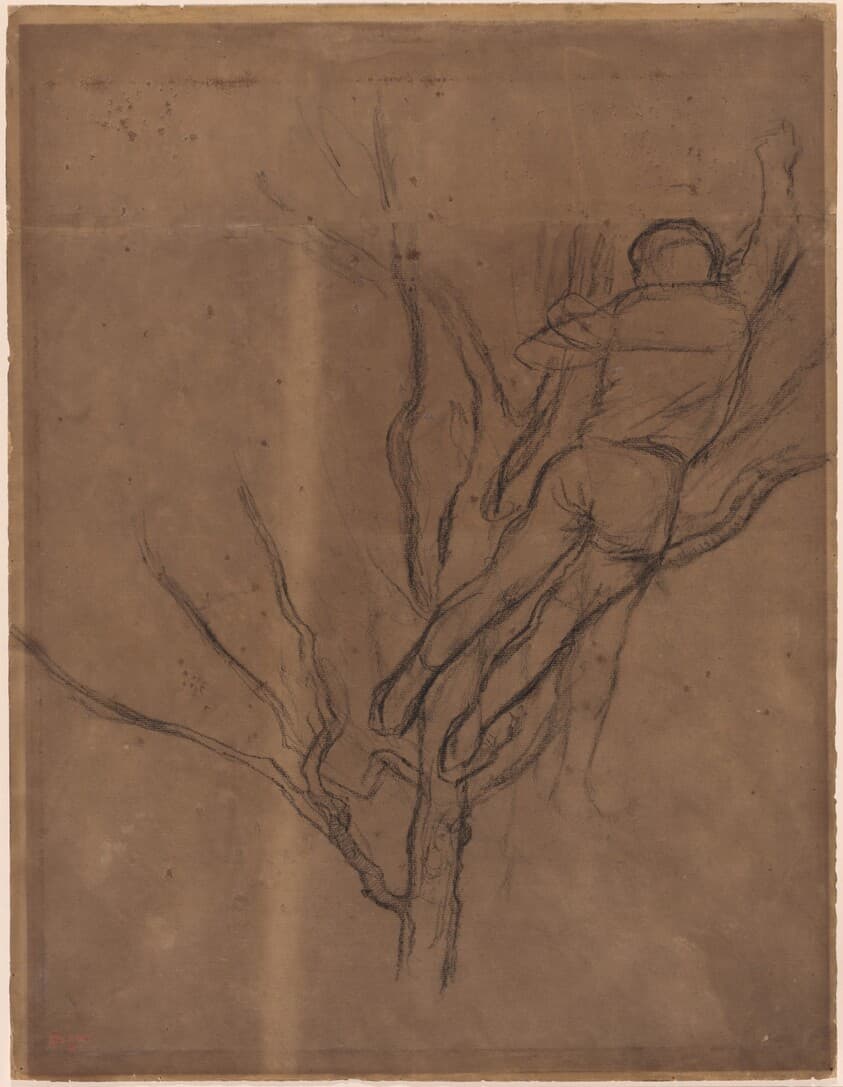 Man Pruning a Tree — Edgar Degas