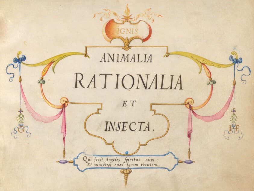Title Page — Joris Hoefnagel